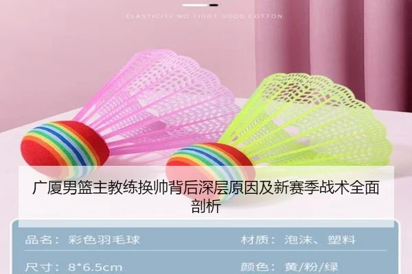 广厦男篮主教练换帅背后深层原因及新赛季战术全面剖析 | IM SPORTS